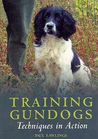 Training Gundogs DVD image