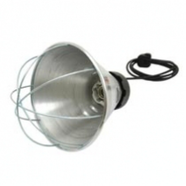 Hitalampi image