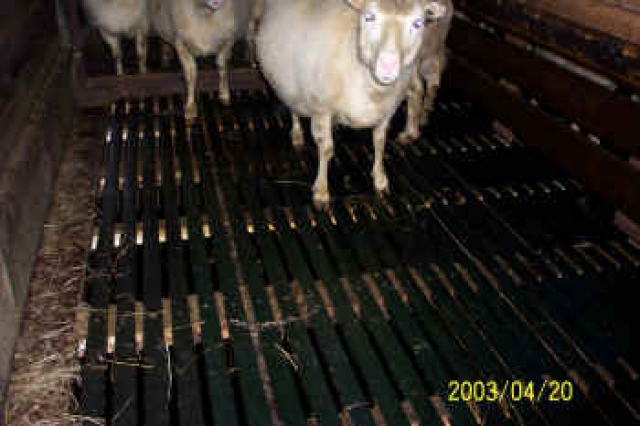 Plastrimlar 50 * 50 4,8mtr image