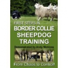 First Steps In Border Collie Sheepdog Training  image