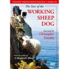 The Year of the Working Sheepdog  image